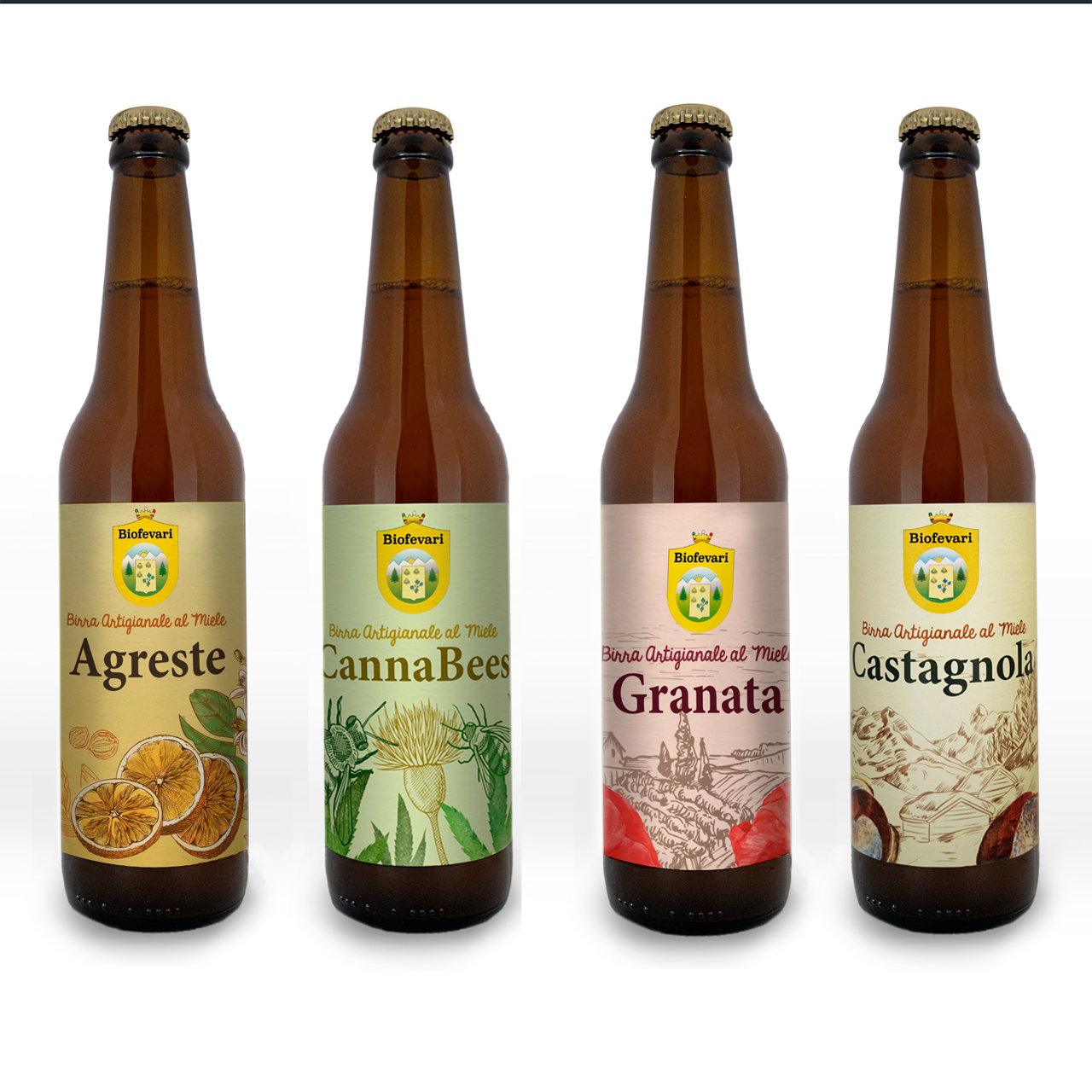 Birre Artigianali Box Degustazione 4 Bottiglie 50cl - Birrificio Artigianale  Biofevari